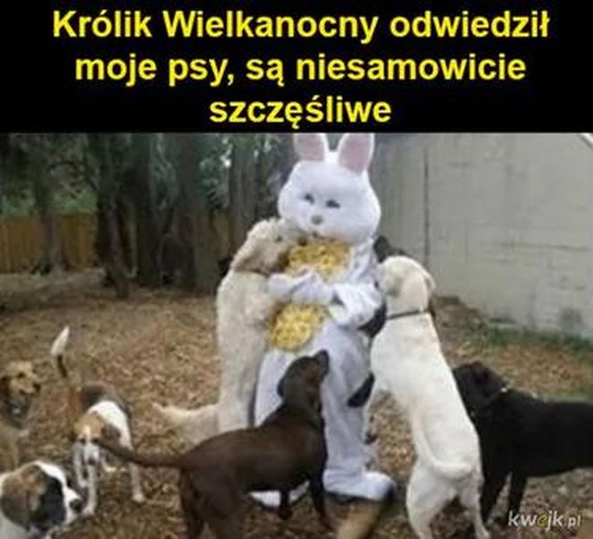 memy wielkanoc