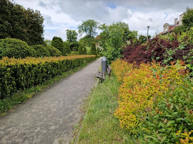 Sielanka, czyli zielona perła Bydgoszczy, o której mało kto pamięta!