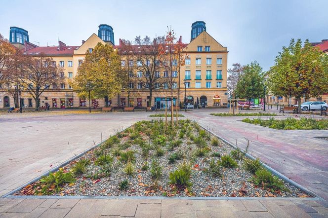 Plac Baczyńskiego w Tychach po przebudowie. Mniej betonu, więcej zieleni