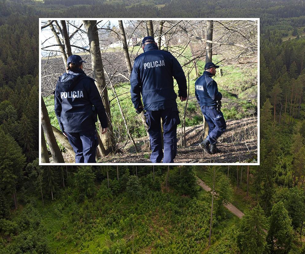 Akcja ratunkowa w lesie w Pabianicach! Nieprzytomna 37-latka leżała w zaroślach