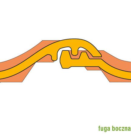 Fuga boczna