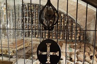 Setki czaszek w kościele Św. Brygidy. Kaplica udostępniona po kilku latach prac [GALERIA]