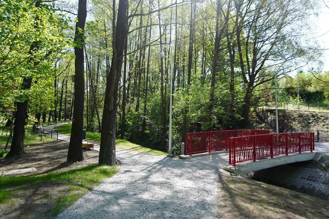 Tak wygląda park w dolinie Ślepiotki w Katowicach