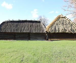 Zachwycający listopad w Muzeum Wsi Lubelskiej! Tak prezentuje się jesienny skansen [ZDJĘCIA]