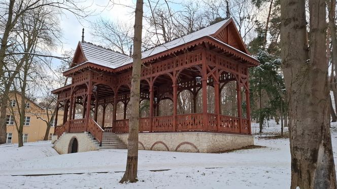 Nałęczów - Park Zdrojowy zimą