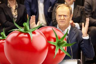 Pomidory po 34 zł! Donald Tusk: drogo, drożej, PiS