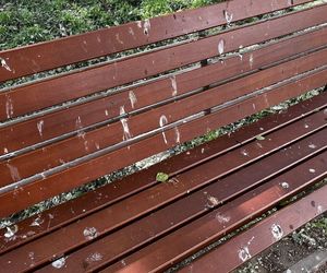 Park Lawendowy na osiedlu TBS w Białymstoku