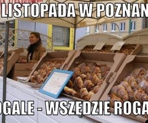 Najlepsze memy o rogalach świętomarcińskich. Tak się je słodkości w Poznaniu!