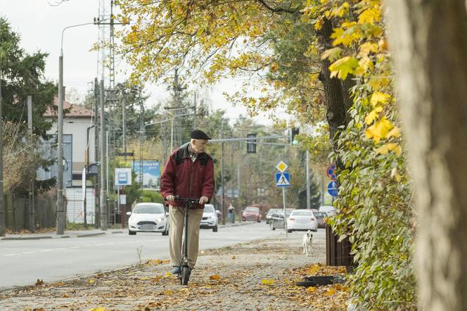 Korwin został gosposiem