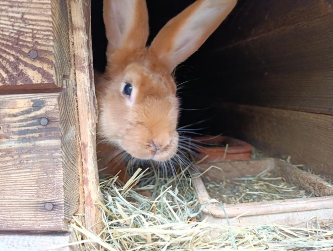 W pożarze stracili dorobek życia 
