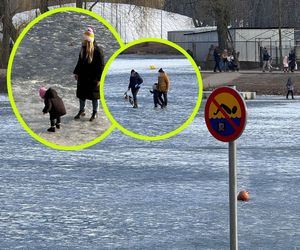 Totalna bezmyślność! Wchodzą na lód z dziećmi i psami przy +7 stopniach! Ekspert grzmi