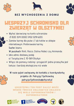 Wracają adopcje w Schronisku dla Zwierząt w Olsztynie ! 