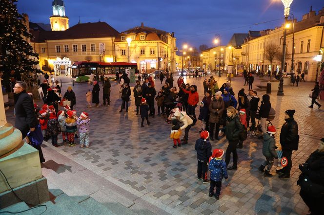 Boże Narodzenie 2024. Światełka oświetliły choinkę na pl. Łokietka w stolicy woj. lubelskiego! Tak się prezentuje