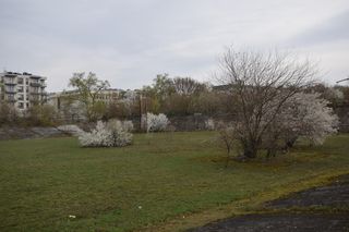 Tor kolarski Orzeł przy ul. Podskarbińskiej 11 w Warszawie