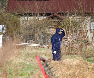 Horror koło Ostródy. Zwierzęta konały bez światła, wody i jedzenia