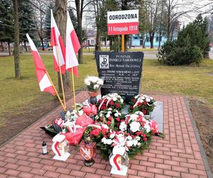 Godzinę od Warszawy leży „największy sad Europy”. To tu zabłądził sam król Kazimierz