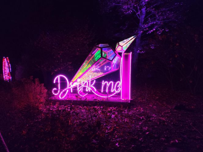 Park iluminacji w Lublinie