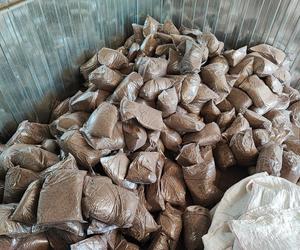 Nielegalna produkcja tytoniu w gminie Postomino