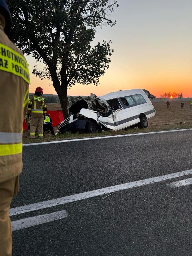 Tragiczny Wypadek Busa z Dziećmi w Miejscowości Lechów