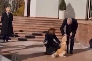 Pies prezydent Mołdawii pogryzł prezydenta Austrii! Skandal na salonach. WIDEO