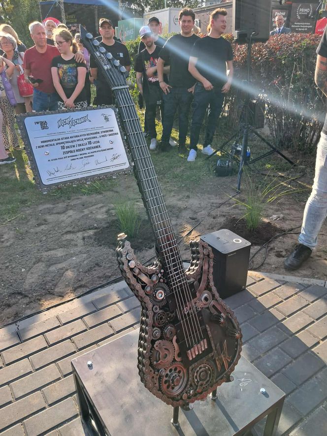 Posadzili drzewa, a następnie dali gorący koncert. Finał akcji zespołu Nocny Kochanek w Skarżysku
