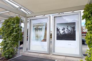 Artystyczny Ruch Społeczny zaprasza na wystawę fotografii w Iławie