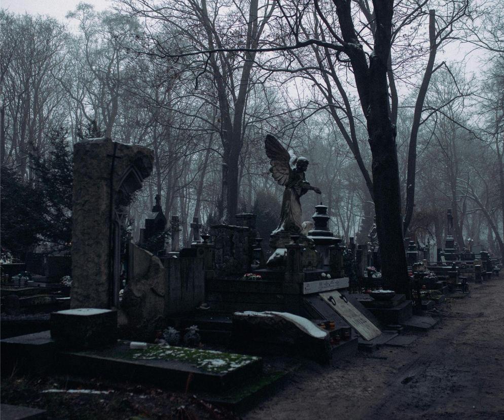 cmentarz, grób