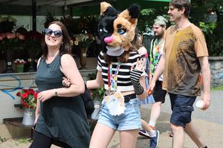 Marsz futrzaków w Lublinie. Tak wyglądał I Lubelski Fursuitwalk