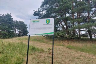 Akcja na polu, gdzie znaleziono Wampirkę z Pnia. Młodzi chodzili z detektorami, niedługo wracają tam archeolodzy