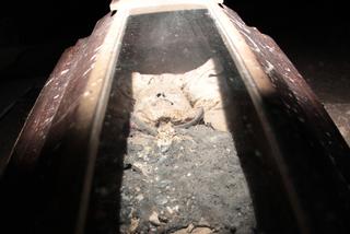 Cała Polska ratuje mumię