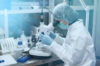 Odkryto możliwy związek bakterii z rakiem trzustki. Czy antybiotyki mogą pomóc?