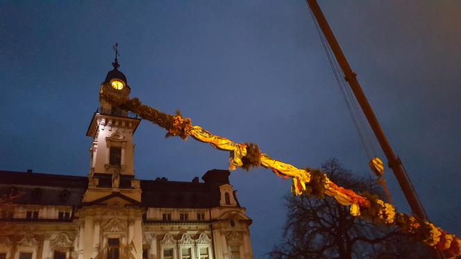  Gigantyczna palma wielkanocna  w Nowym Sączu