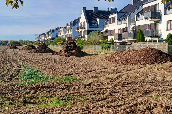 "Śmierdzący" problem na osiedlu. Mieszkańcy mają hałdy obornika pod oknami