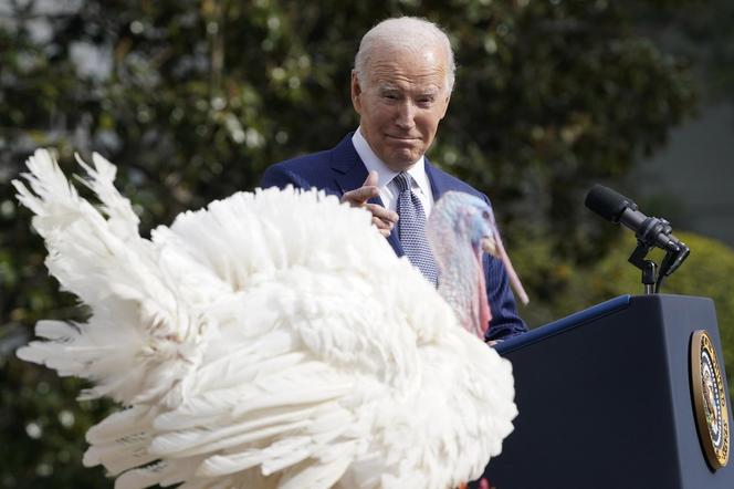 Indory u prezydenta USA! Joe Biden ułaskawił ptactwo