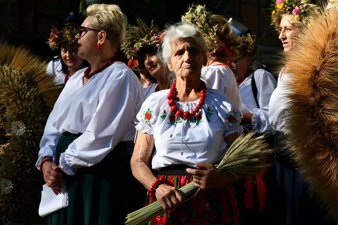 Tłumy na dożynkach w Olsztynku. Zobacz, jak wyglądało tegoroczne święto plonów