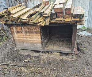 Dramat w Pruszkowie. Przetrzymywał zwierzęta w skandalicznych warunkach. Właściciel próbował się ich pozbyć