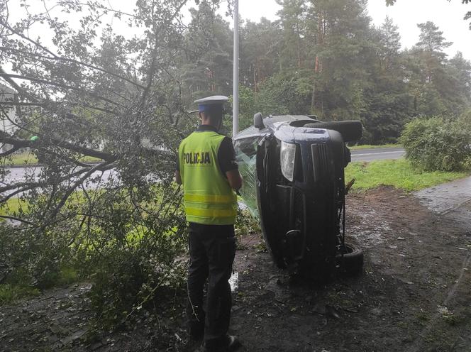 Toruń: Ford Mondeo wylądował na drzewie. Kierowca miał mnóstwo szczęścia