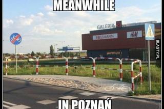 Tak internet się śmieje się z Poznania! Zobacz najlepsze MEMY!