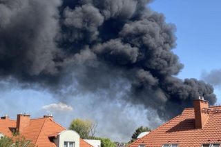 Czarny dym nad Zabrzem. Płoną trawy i śmieci