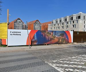 Rewitalizacja Dolnego Miasta i Starego Przedmieścia