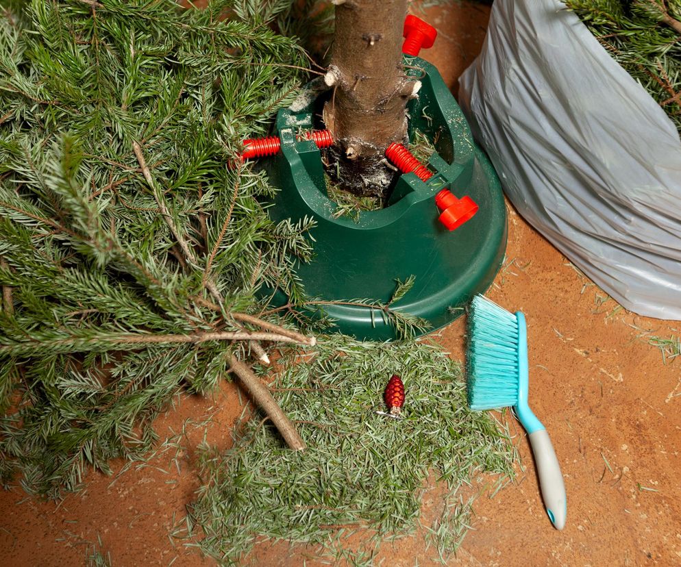 Choinka po świętach