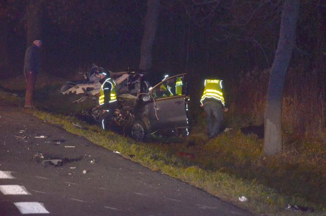 Wola Starogrodzka ciało nad stawem