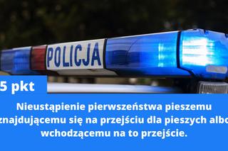 Za co dostaniesz 15 punktów karnych? Nowy taryfikator już w połowie września 