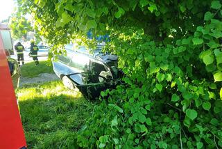 30-latek zginął pod Gostyninem! Jego volkswagen rozbił się o drzewo [ZDJĘCIA]