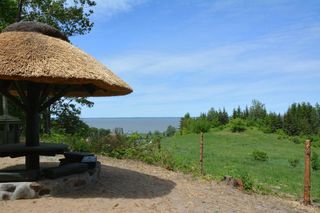   Jak nad Bałtykiem, tylko spokojniej. Te warmińsko-mazurskie wsie leżą nad Zalewem Wiślanym