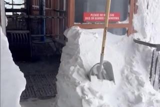 Zima na całego w Kalifornii! W ciągu doby spadło 90 cm śniegu [ZDJĘCIA]