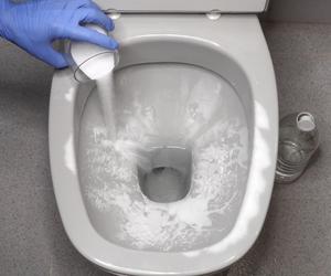 Sprzątaczka pokazała mi, jak czyścić szczotkę do toalety. Jak to uczyniłam, to aż zrobiło mi się niedobrze. Od teraz raz w tygodniu sypię ten proszek i czyszczę szczotkę od toalety