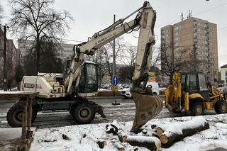 Wycinka drzew w Pruszkowie 