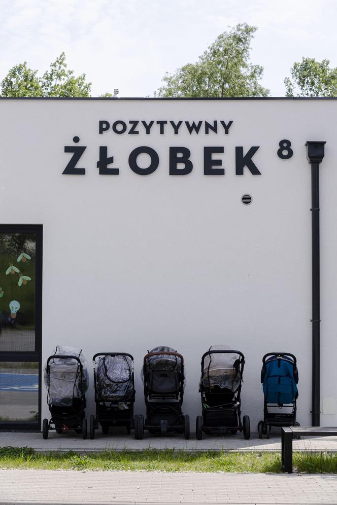 Edukacja estetyczna najmłodszych: metalografiki i murale na trójmiejskich szkołach, przedszkolach, żłobkach