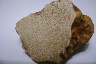 To najdroższe grzyby świata